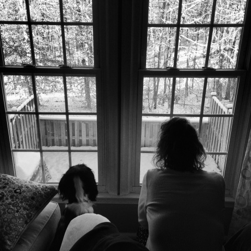 My dog and wife looking out the window at the falling snow. © 2014 Andrew Hitz